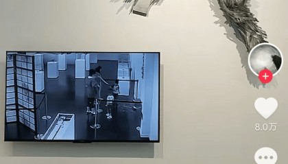 上海一博物馆循环播放12年前“熊孩子”损坏展品视频,馆方:起警示作用