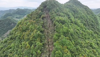毕节一地疑山体开裂现出巨大裂痕,村民称在家听到山上响动,当地:正在协调第三方勘探