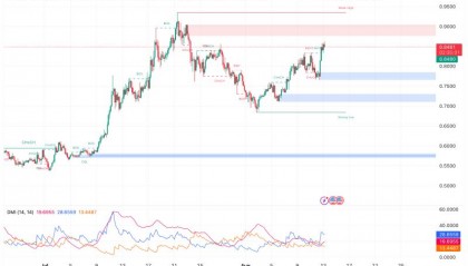 艾达币交易所(艾达币价格行情)