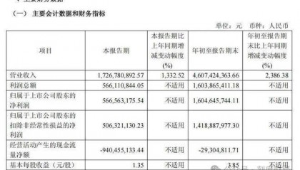取代英伟达，寒武纪靠DeepSeek卖爆“中国芯”