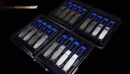 SFP钱包(sfp钱包官网)