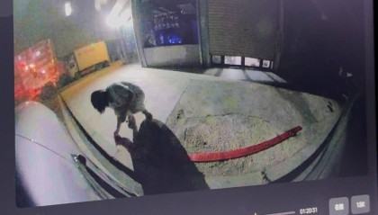刚提的新车停路边停车位被鞭炮崩了,车主:因拒绝当晚挪车