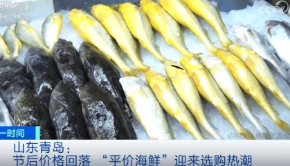 价格“大跳水”!你爱吃的“它”,卖爆了