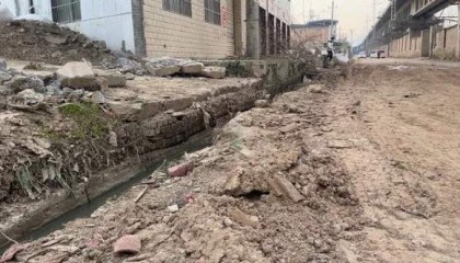 西安4岁男童被恶犬咬伤!禁养办:追捕中!疑流浪狗,管理困难