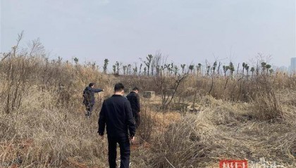 4男子盗卖12座高压电塔 以废钢价格卖出获利53万