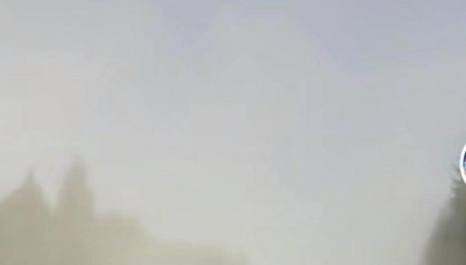 北京花粉浓度“高到很高”,12345回应:将逐步更换树种