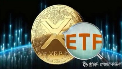 XRP-瑞波币交易会所(虚拟货币xrp为什么价格起不来)
