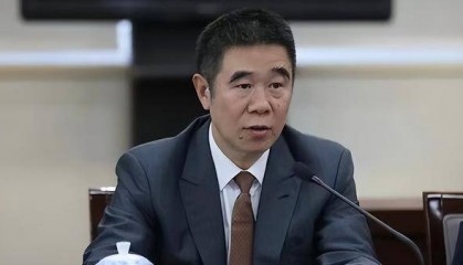 再有金融“虎”被查