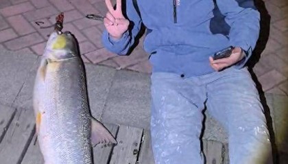 江西男子钓到56斤鳡鱼晚上骑电动车绕城5小时炫耀:如果不冷要逛到天亮