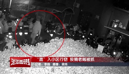 北京警方刑拘1名男子：行窃的同时还帮小区居民扔垃圾？北京警察：狡猾！