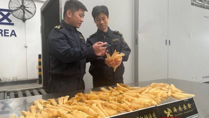 1084公斤乌干达干鱼鳔首次从长沙机场口岸入境,作用还挺大