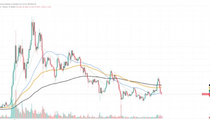 暴跌性崩盘后,值得关注的3个狗狗币 (DOGE) 价格水平