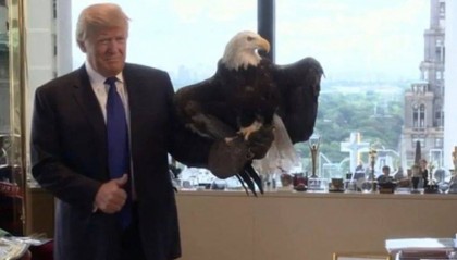 耶伦再次站了出来，若是与中国对着干，就把美国自己给“打残”了