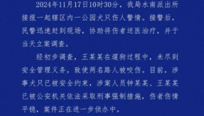 母女在公园遭4条大型犬撕咬 涉案2人被采取刑事强制措施 律师:或涉嫌以危险方法危害公共安全罪