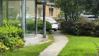 上海七旬老人小区散步被毒蛇咬伤,女儿崩溃:医院怎么选……这份救命指南快收好!
