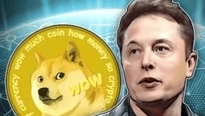 马斯克、特斯拉“操纵内幕交易”狗狗币DOGE反弹上涨!漂亮国法官表示......