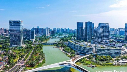 人口净增长超11万,青年人为什么选择南沙?