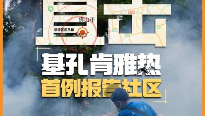 直击首例基孔肯雅热报告社区：下水井盖都加装纱网和胶带，已很难见到一只蚊子！千人投入“防蚊战”