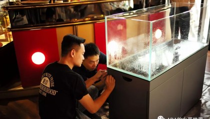 ADA交易会所(adaf交易平台怎么样)