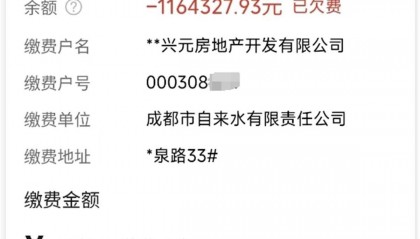 成都一小区拖欠水费116万余元,物业:部分业主不缴费没办法