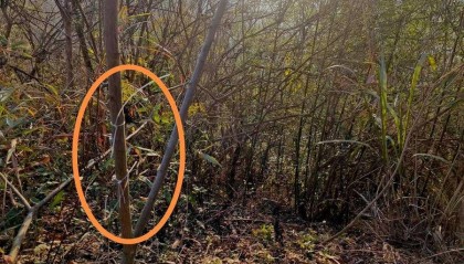 湖北黄石一教师遭捕兽电网电击身亡,家属:五年至少三人被电击过