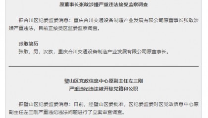 重庆合川交通设备制造产业发展有限公司原董事长张敢等两名干部被查处