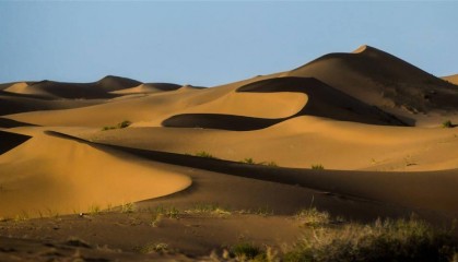 一网友自称在腾格里沙漠遭性侵,警方:正在调查