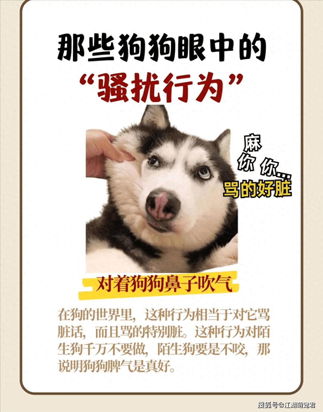 那些狗狗眼中的“骚扰行为”，你不会还不知道吧？