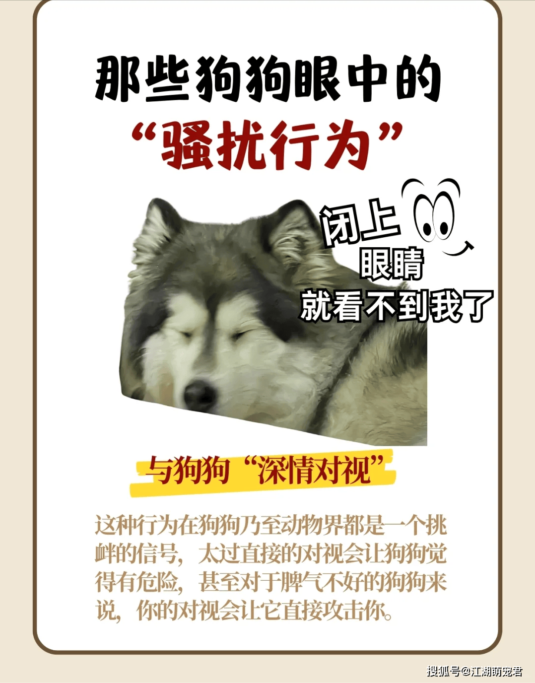 那些狗狗眼中的“骚扰行为”，你不会还不知道吧？