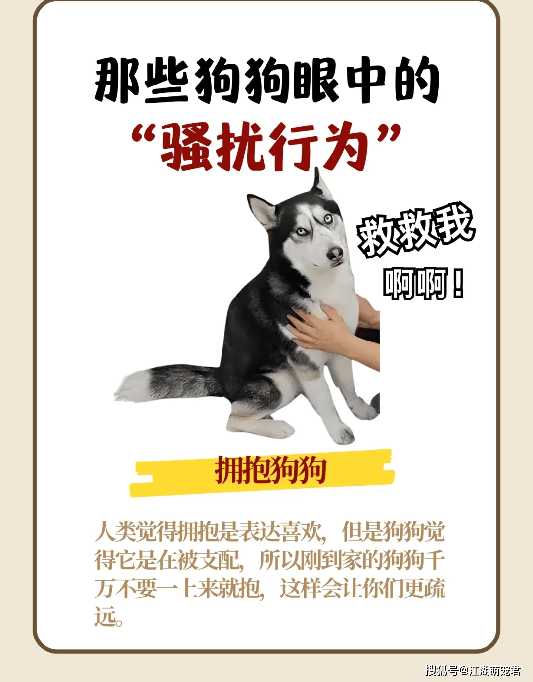 那些狗狗眼中的“骚扰行为”，你不会还不知道吧？