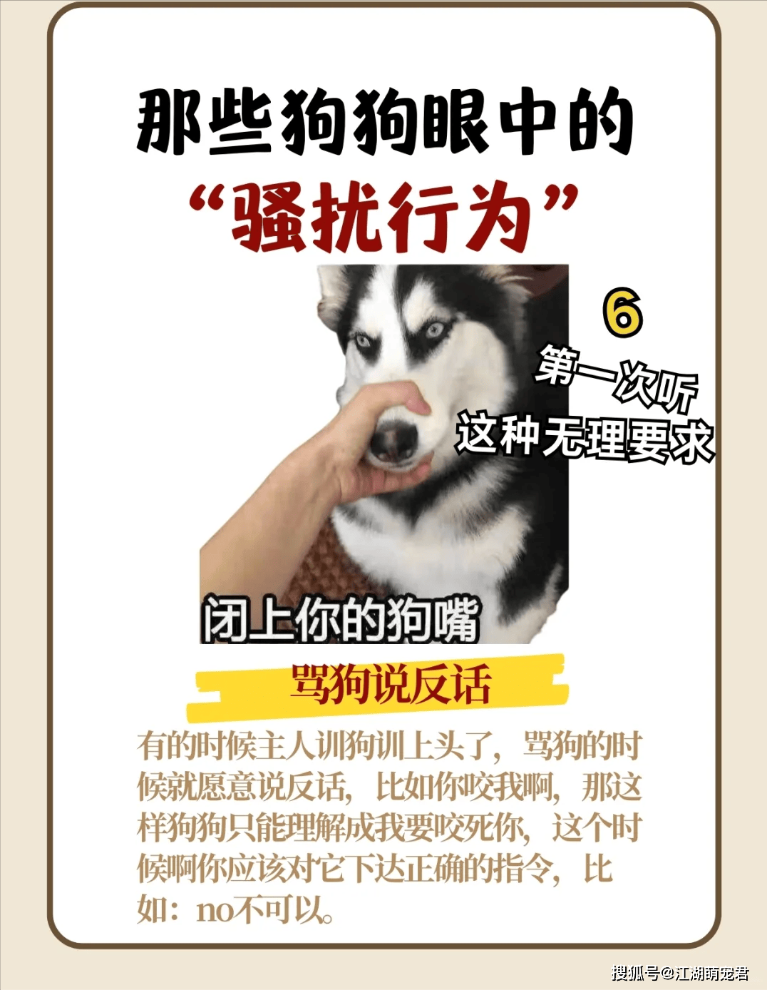 那些狗狗眼中的“骚扰行为”，你不会还不知道吧？