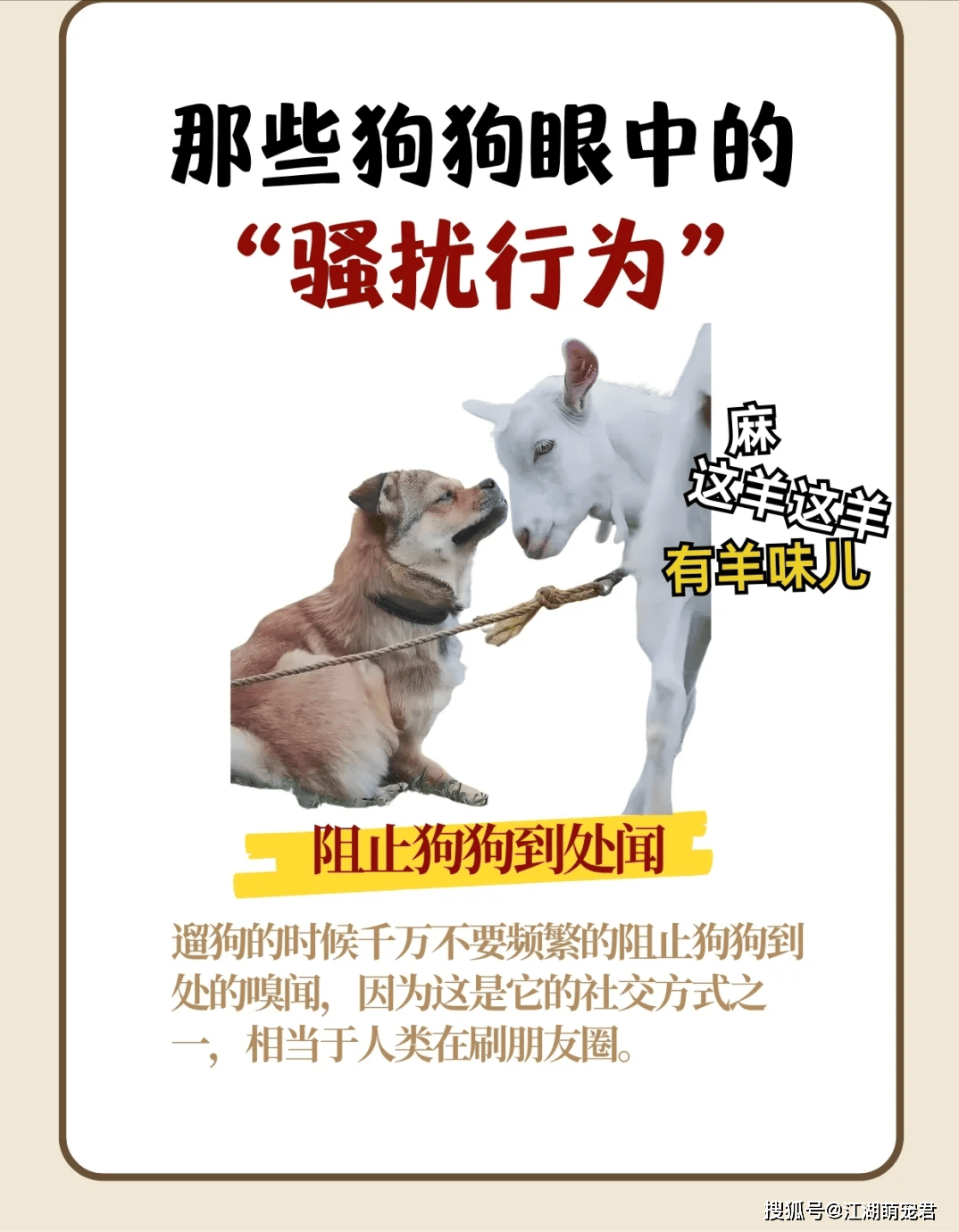 那些狗狗眼中的“骚扰行为”，你不会还不知道吧？