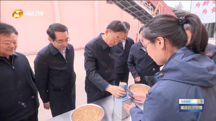 河南省委书记调研，现场测量玉米含水量