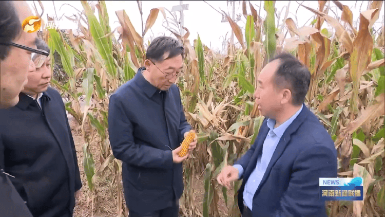 河南省委书记调研，现场测量玉米含水量