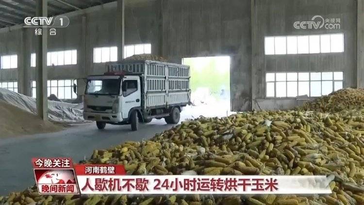 河南省委书记调研，现场测量玉米含水量