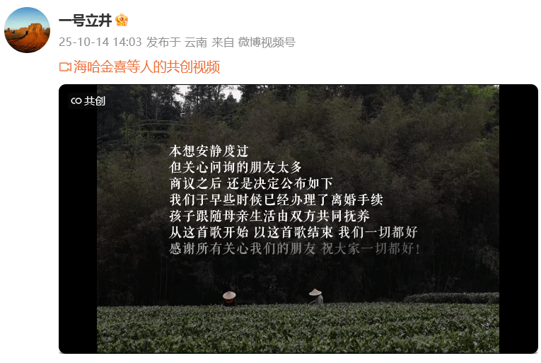 李亚鹏和小19岁海哈金喜离婚被指避债,律师解读:李亚鹏的债务或不受离婚影响