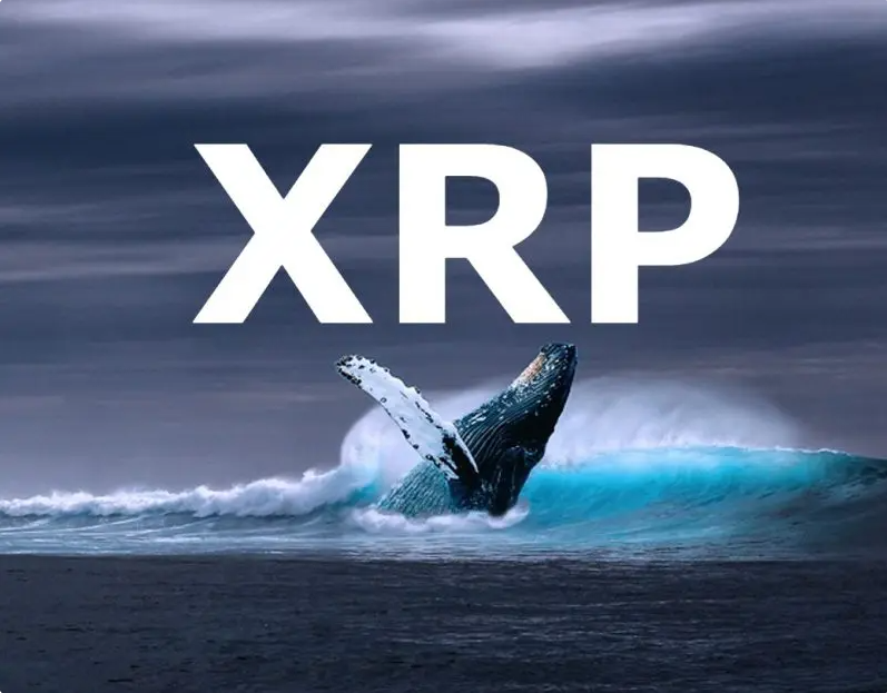 XRP交易会所(虚拟货币xrp为什么价格起不来) XRP交易会所(虚拟货币xrp为什么价格起不来)
