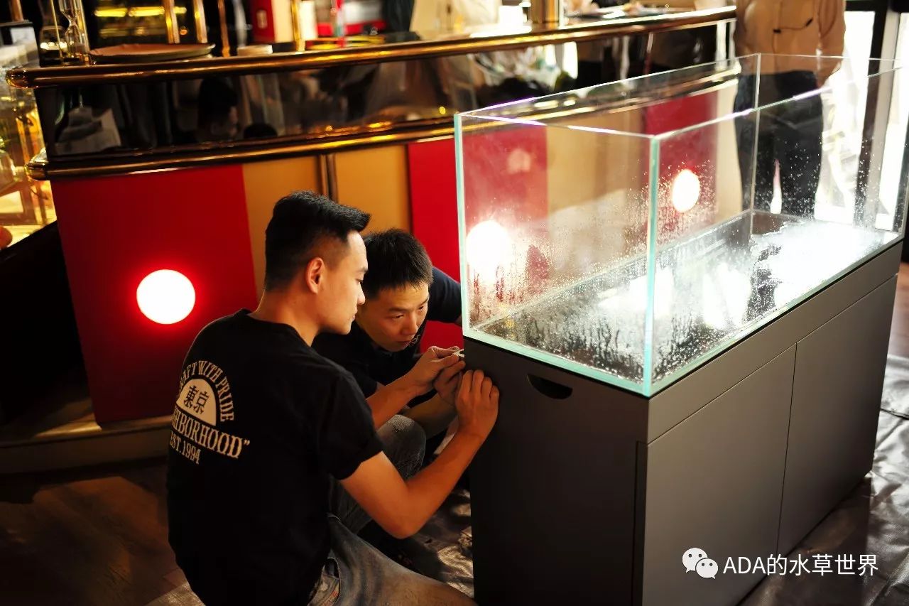 ADA交易会所(adaf交易平台怎么样)