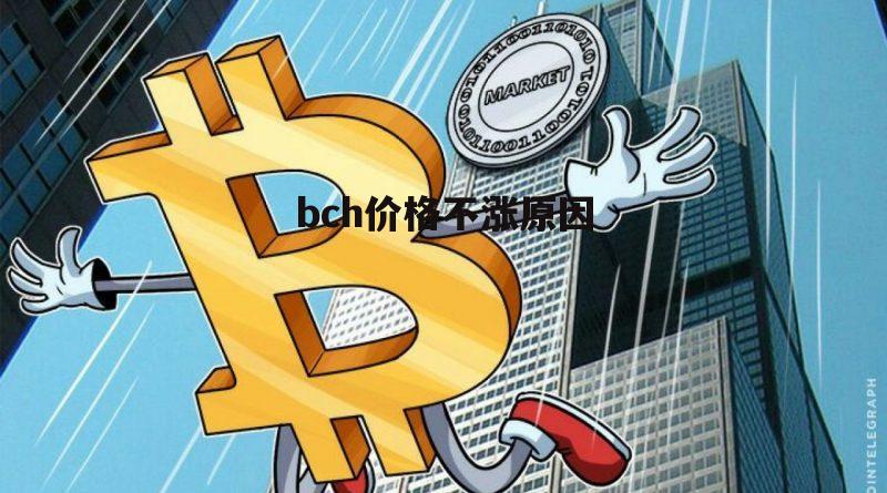 BCH交易(bch交易在哪里交易欧亿官网注册中国)