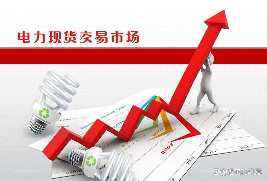 电力现货(电力现货市场是什么意思)